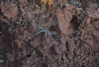 In-App Purchases and Add-On Sales Strategies Unleashed In-App Purchases and Add-On Sales Strategies Unleashed