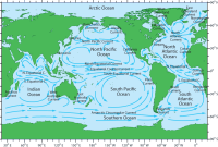 Global Events That Influence Sales of Essentials Global Events That Influence Sales of Essentials