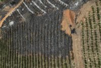 How to Price Luxury Jewellery for Online Sales Effectively How to Price Luxury Jewellery for Online Sales Effectively