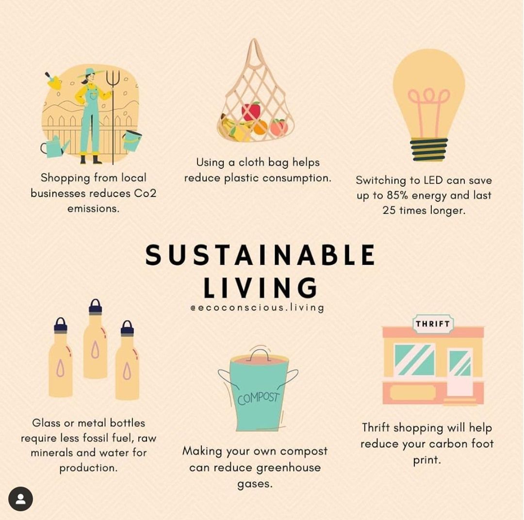 How To Start A Sustainable Lifestyle On A Budget