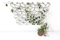 Creative Ways To Use Plants In Home Decoration