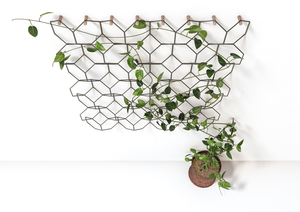 Creative Ways To Use Plants In Home Decoration