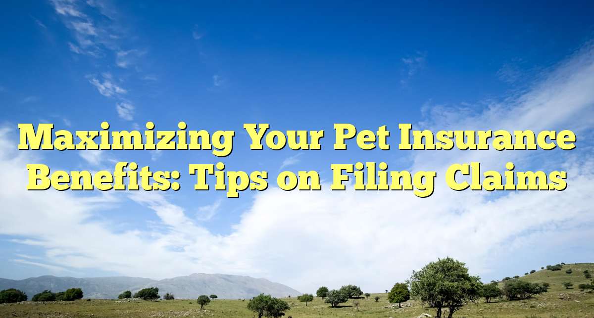 What Are The Benefits Of Having Pet Insurance Coverage