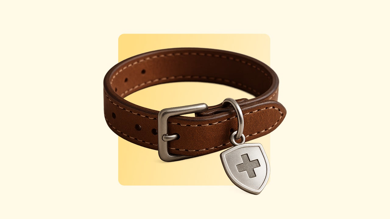 How Does Pet Insurance Work And What Does It Cover