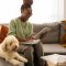 How Does Pet Insurance Work And What Does It Cover